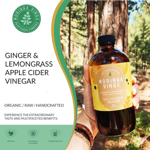 VINGA 16 oz Organic Ginger & Lemongrass Moringa Infusion Daily Herbal Tonic with Apple Cider Vinegar, Honey | Supports