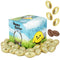 The Dreidel Company Gold Easter Chocolate Eggs, Multicolored Foil Wrapped Milk Chocolate