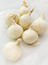 3 LB Kejora Fresh Boiler Onions/Boiling Onions