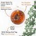 BREWIX Royal Orange Spice Black Tea, 25 Pyramid Tea Bags, Premium Black Tea with Orange and Spices