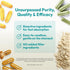 ANDREW LESSMAN Secure Soy Complete Meal Replacement - Chocolate, 10 Servings, 67 Calories, 7g Non-GMO Soy Protein