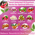 100% Dr. Lu's Happy Girl Tea | Natural Herbal Tea for Hormone Balance, Menstrual, PMS, PCOS & Menopause | Antioxidant