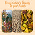 100% 1 lb Packed Oh! Nuts Pistachios No Shell - Raw - Natural - - Raw Whole California Pistachios - in New York