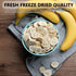 6OZ/170G Freeze Dried Bananas, Freeze Dried Fruit, Drie-d Banana Chips Natural, No Add Sugar, Fruit Snacks