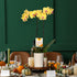 5" Green Circle Growers Yellow Orchid in Rockefeller Beige Planter, Live Plant Thankful for You