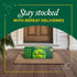 7.5 oz, 10 Pack Seagrams Ginger Ale Soda Soft Drinks, fl