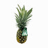 Fresh Produce 1 Organic Pineapple, Each
