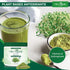 Ola Organic (300g Broccoli Sprout Powder Sulforaphane-Rich Superfood with Vitamins & Minerals Supports Daily Wellness