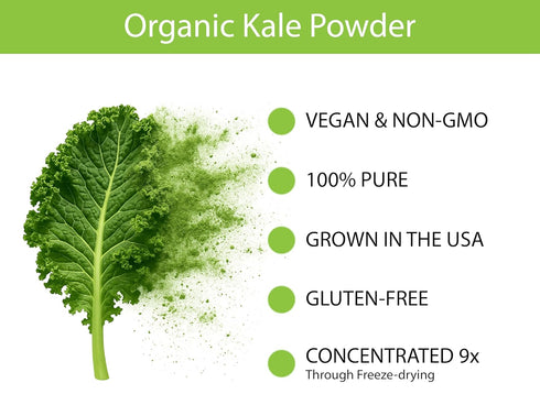 30 KOYAH - Organic USA Kale Powder (Equivalent to Cups Fresh): Freeze-dried, Whole-Leaf Powder