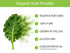 30 KOYAH - Organic USA Kale Powder (Equivalent to Cups Fresh): Freeze-dried, Whole-Leaf Powder