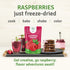 SEL BERRY 100% 3 oz All-Natural Freeze Dried Raspberry Powder for Baking & Smoothies | Pure Raspberry Flavoring Powder