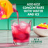 32 oz Starbucks Refreshers Concentrate Mango Dragonfruit, Refreshing Drink, Cold Drinks fl