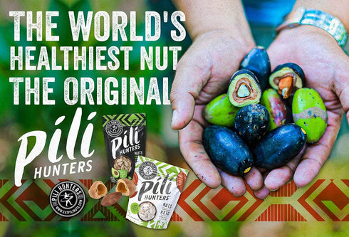 (1 lb Pili Hunters - Wild Sprouted Pili Nuts, Himalayan Salt Bag) Keto/Paleo/Vegan Snacks, Low Carb Energy, Gluten