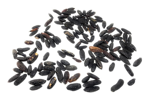5 100% Premium Tonka Beans - Whole Natural Tonka Beans - Raw & Pure Tonquin, Strong Fragrance (Dipteryx Odorata Tonkin