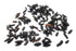 5 100% Premium Tonka Beans - Whole Natural Tonka Beans - Raw & Pure Tonquin, Strong Fragrance (Dipteryx Odorata Tonkin