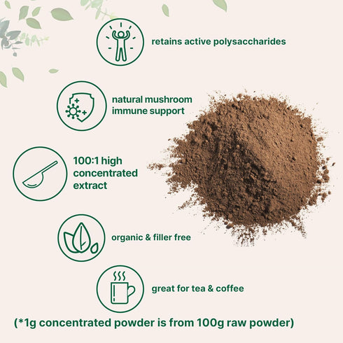 Micro Ingredients Organic Reishi Mushroom Extract, 16 oz | 100:1 Red Reishi | Non-GMO, Vegan Friendly for Immunity &