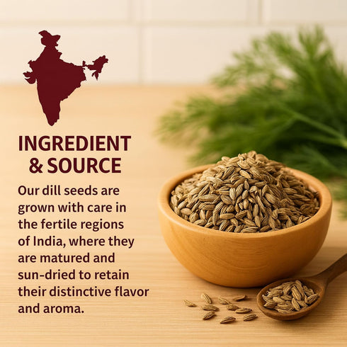 4 oz SPICY PANTRY Dill Seeds Whole, Aromatic Spice for Pickling, salad dressings, soups, stews, breads, European