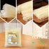APEXY 32 oz Pack 1 Vietnamese Rice Vermicelli, of Family-Size Thin Rice Noodles for Pho, Stir-Fry, Spring Rolls & Asian