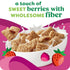 Pack (3 Kashi Breakfast Cereal, Organic, Whole Grain, Variety Boxes)