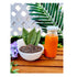 16 oz. (Pack 6) Thai Iced Tea Mix, Traditional Restaurant Style