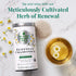 Organic Egyptian Chamomile SuperHerb Tea Tin by The Republic of Tea, 36 Herbal Tea Bags, Caffeine-Free