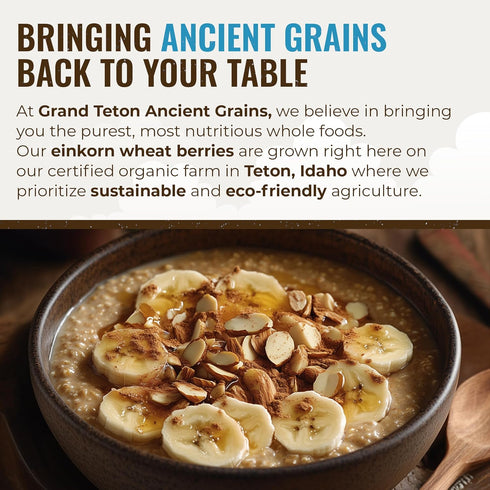 100% 2.5 lbs Grand Teton Ancient Grains - Organic Einkorn Berries, Premium Food-Grade Farro Piccolo, For Milling into