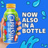 12 oz Capri Sun Strawberry Kiwi Flavored Juice Drink Blend from concentrate with other natural flavors, fl Bottle