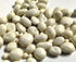 DM Sweets 1 lb Yogurt Coated Raisins - of Fresh Gourmet Sweet Creamy Chewy Covered Dipped Raisins