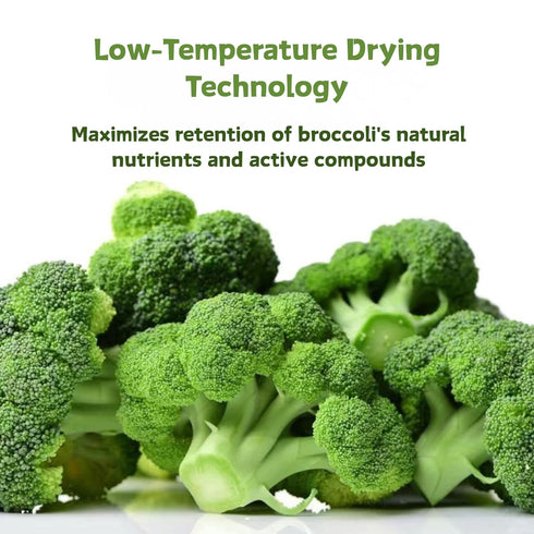 Nat Flav 10.5oz 300g 100% Broccoli Powder | | Natural Broccoli | No Sugar & Additives | Non-GMO & Vegan Friendly |