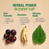 Bell Ezee Flow Urinary Support Tea for Men -A Natural Solution - Helps Ease The Flow and Normalize Urinary Frequency