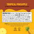 17, 12oz 3 Pack, Ninja Thirsti Flavored Water Drops, FRUITI CHILL Tropical Pineapple, Bold Fruit Flavor, Sparkling