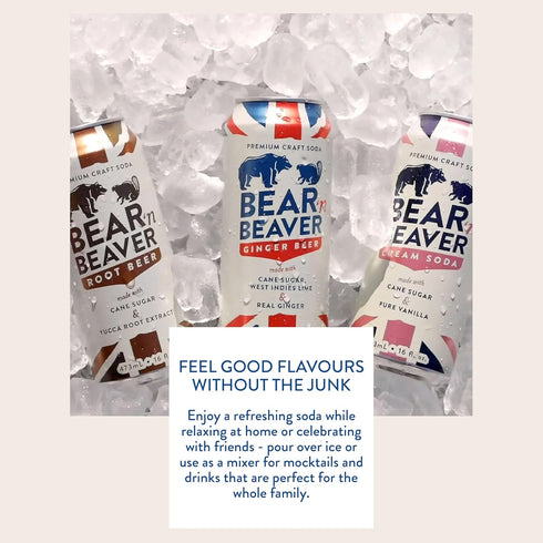 100% 12 Pack 16 Oz Bear 'n Beaver Premium Craft Cream Soda Soft Drinks Made with Cane Sugar & Pure Vanilla - Vegan