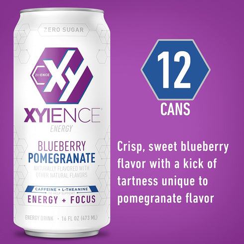 16 oz (Pack 12) Xyience Blueberry Pomegranate Energy Drink, fl can