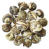 5.29 oz/150 90-120 Teabloom Organic Green Tea, Jasmine Pearls Loose Leaf Tea, Captivating and Aromatic Jasmine Tea