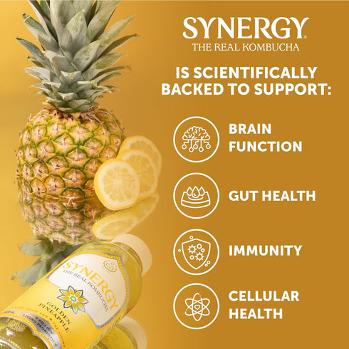 16 oz Immune SYNERGY The Real Kombucha - Golden Pineapple - fl Bottle - Raw Probiotic Drink for Gut Health and Support