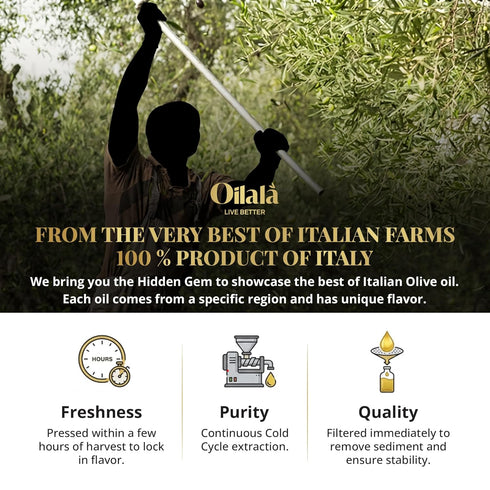 OILALA 2022 2023/24 500ml (16.9 Oz) Extra Virgin Olive Oil, Robust Flavor, Gold Medal NYIOOC! filtered,Italian Family