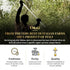 OILALA 2022 2023/24 500ml (16.9 Oz) Extra Virgin Olive Oil, Robust Flavor, Gold Medal NYIOOC! filtered,Italian Family