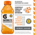 Beverage,20 Oz Gatorlyte Rapid Rehydration Orange Electrolyte Fl Bottle
