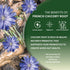 1 Worldwide Botanicals French Chicory Root, Pound - Brew Like Coffee, Blend Roasted Chicory Root With Coffee