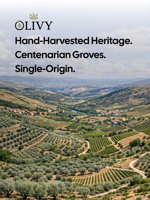 500mL Olivy | Extra Virgin Olive Oil for Drinking and Finishing - Ultra-Low Acidity, High Polyphenol, DOP Portugal |