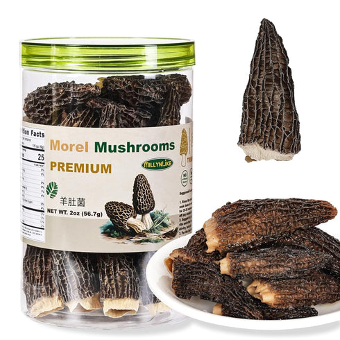MillynLike Dried Morel Mushrooms Trimmed Stems & Large Caps (2+ Inches) |