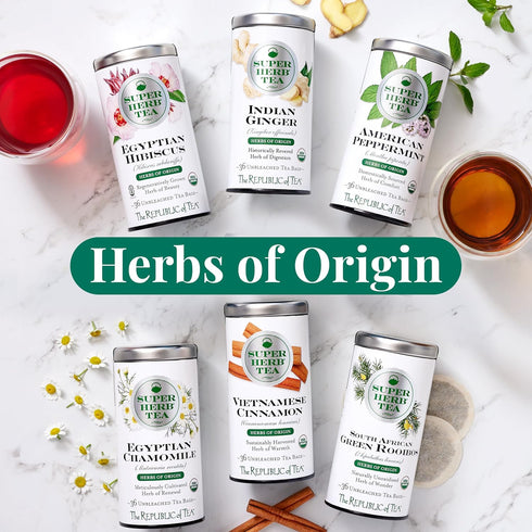 36 The Republic of Tea Organic Indian Ginger SuperHerb Tea Tin, Herbal Tea Bags, Naturally Caffeine-Free Herbs