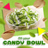 1 Rossana Pistachio Candy | Pound Bag | Italian Candy | Individually Wrapped Pistachio Toffee Treats for Office Bowls
