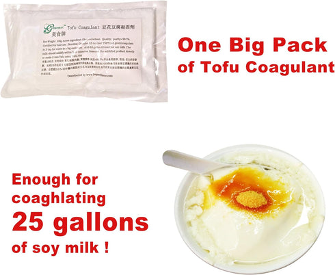 100g Pack GJS Gourmet Gluconolactone - for Organic Tofu Creation