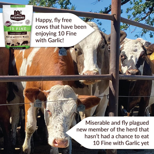 10 Redmond Agriculture Fine with Garlic- Premium Mineral Salt with Essential Trace Minerals and Pest Prevention