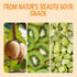 1 LB Packed Oh! Nuts Dried Kiwi - - Sweetened Dried Fruit Diced - Dehydrated Fruit Bites - in New York Zip-Seal Bag