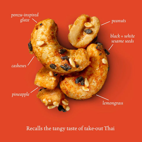 4 (Pack 6) Sahale Snacks Thai Cashews Glazed Mix, Ounces