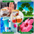 TeaDreamTea Hibiscus Tea Bags - 100 Bleach-Free, Caffeine Free Dried Hibiscus Flowers for Hot or Iced Herbal Tea
