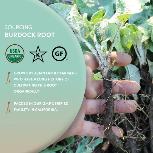 1 lb 100% 16 Worldwide Botanicals Organic Burdock Root - Arctium lappa - Raz de Bardana Cut & Sift, Excellent Detox