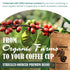 Ground Wild Kopi Luwak 100gr) , the Worlds Most Exclusive Coffee, Sustainably Sourced From Sumatra, Indonesia (Ground
